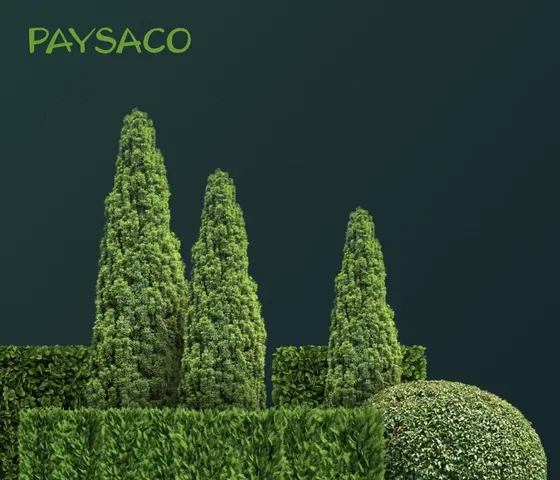 Capture du projet Paysaco